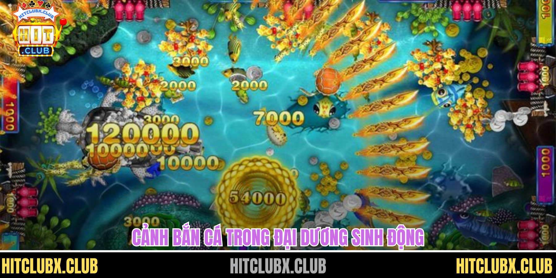 Cảnh bắn cá trong đại dương sinh động