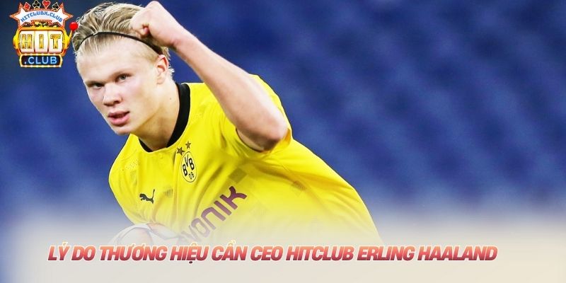 Lý do thương hiệu cần CEO HITCLUB Erling Haaland